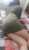 Ankara Türbanlı Sınırsız Escort Elçin - Image 4