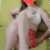 Mamak ve Cebeci Yeni Escort Pelinsu - Image 2