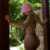 Vip Sunum Yapan Escort Cansel - Image 4